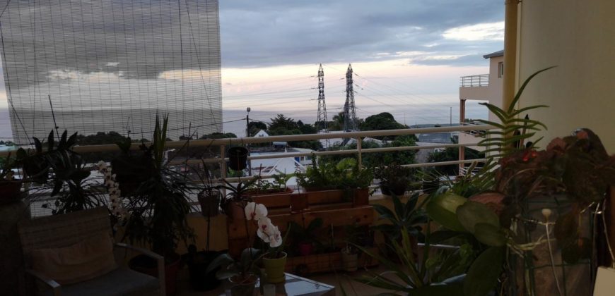 Charmant appartement F4