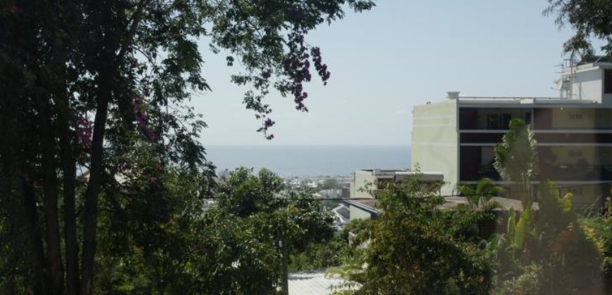 Appartement T2 Bellepierre