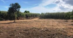 Terrain constructible – BDN Coco Saint Louis