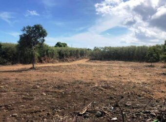 Terrain constructible – BDN Coco Saint Louis