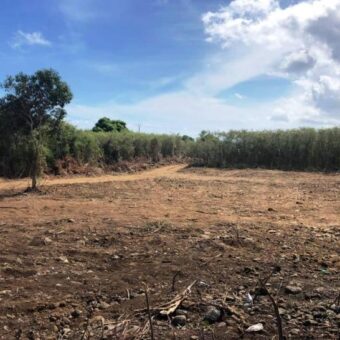 Terrain constructible – BDN Coco Saint Louis Terrain constructible – BDN Coco Saint Louis