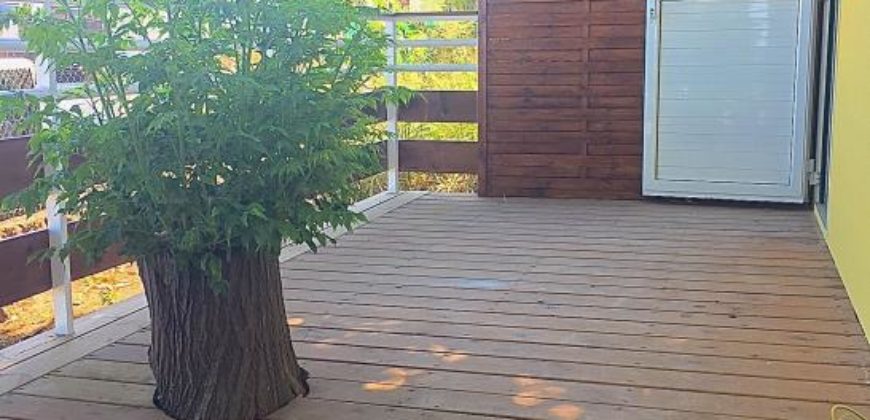 Terre Sainte A Saisir Charmante Maison F3