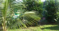 Villa F5 de 120 m2 Villa F5 de 120 m2