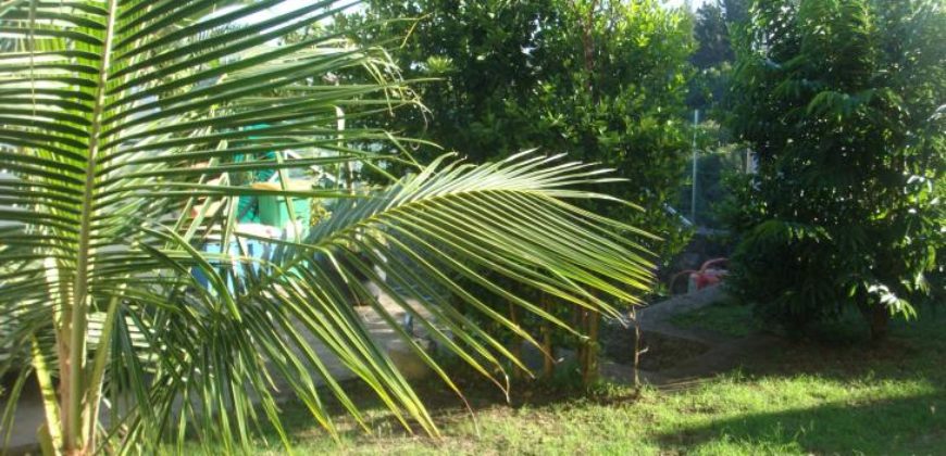 Villa F5 de 120 m2 Villa F5 de 120 m2