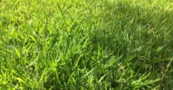 Vente Terrain à St André Centre