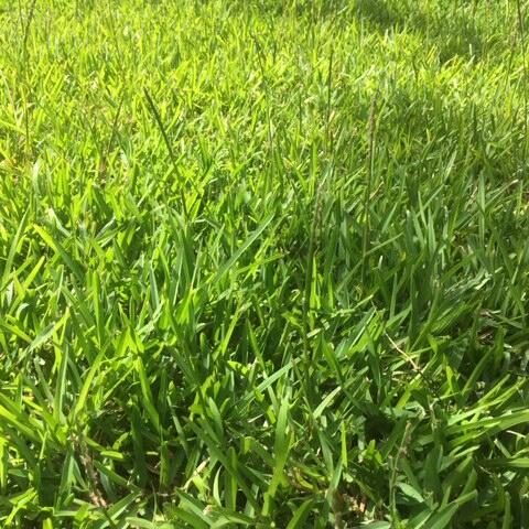 Vente Terrain à St André Centre