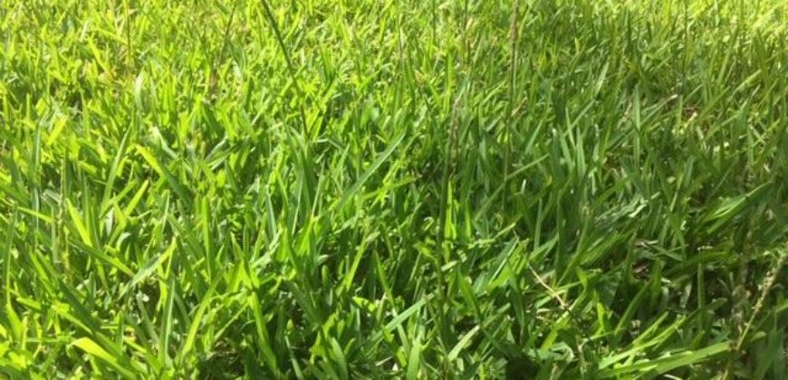 Vente Terrain à St André Centre